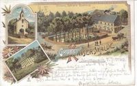 Postkarte KAISERSWALDE-1902
