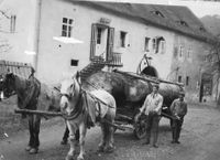 1936 Holzabfuhr beim Meierhof Hetzeler und Fohry